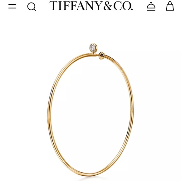Tiffany & Co Elsa Peretti Diamond Hoop Earring - Picture 8 of 11